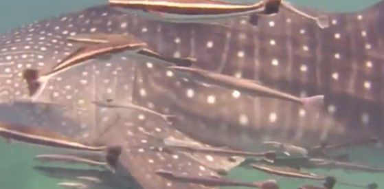 b869d4b7-cf16-4579-a66d-f0d18225758c