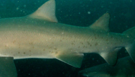 e6fa45be-6fe5-4971-9bc9-fd42bccf6322