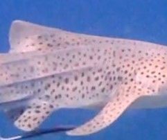 5be01baf-acc4-45db-895e-24969b656198