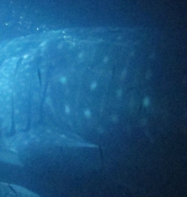 f7c2cd47-378c-49af-ba28-0f438ff6a9d5