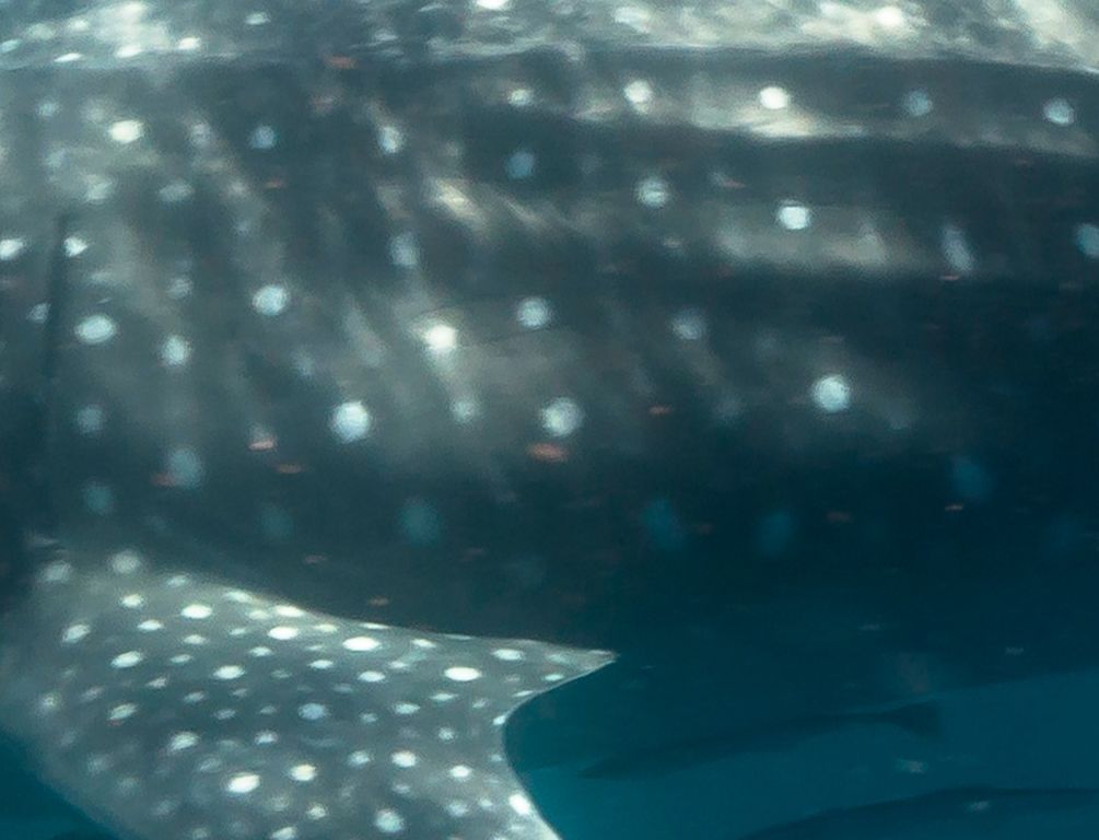 e4400d2d-ceac-4ace-bd7b-71027bccaa9f