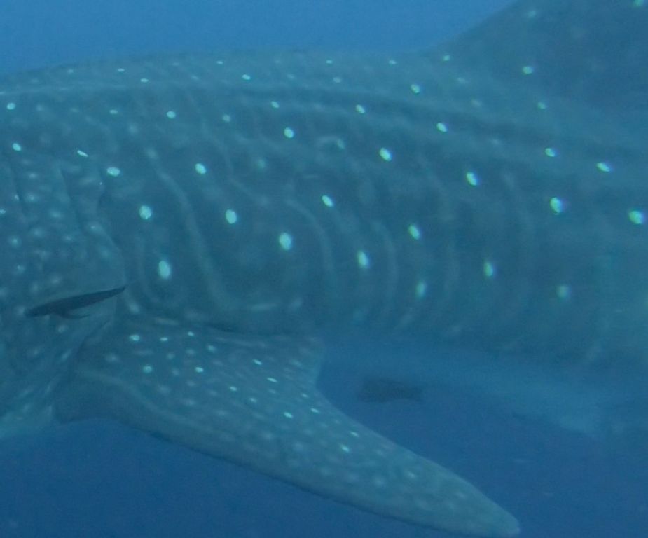 3731ff51-393e-46e2-a1b6-f8418c38b0b2