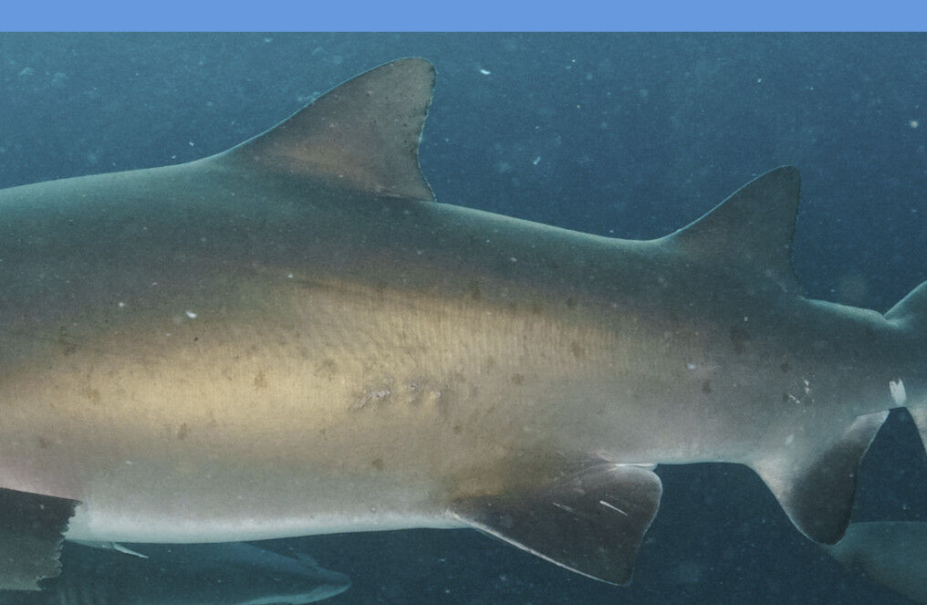 7269b670-9c3d-440b-8631-1263d714a1cc