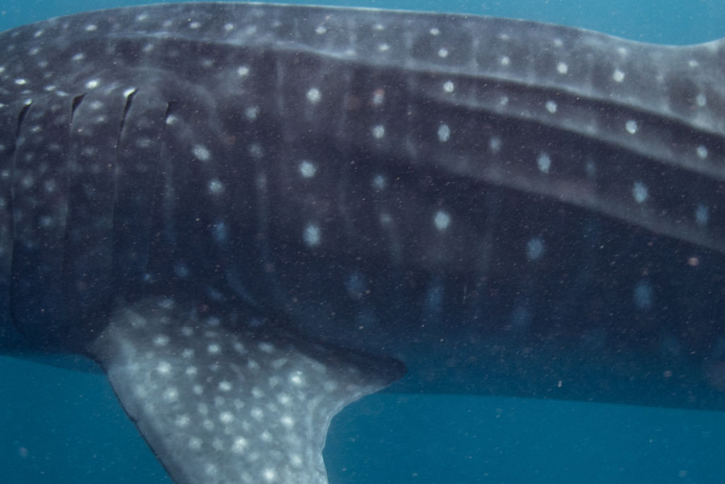 79612e95-77a8-412d-b8de-267e363bc42b