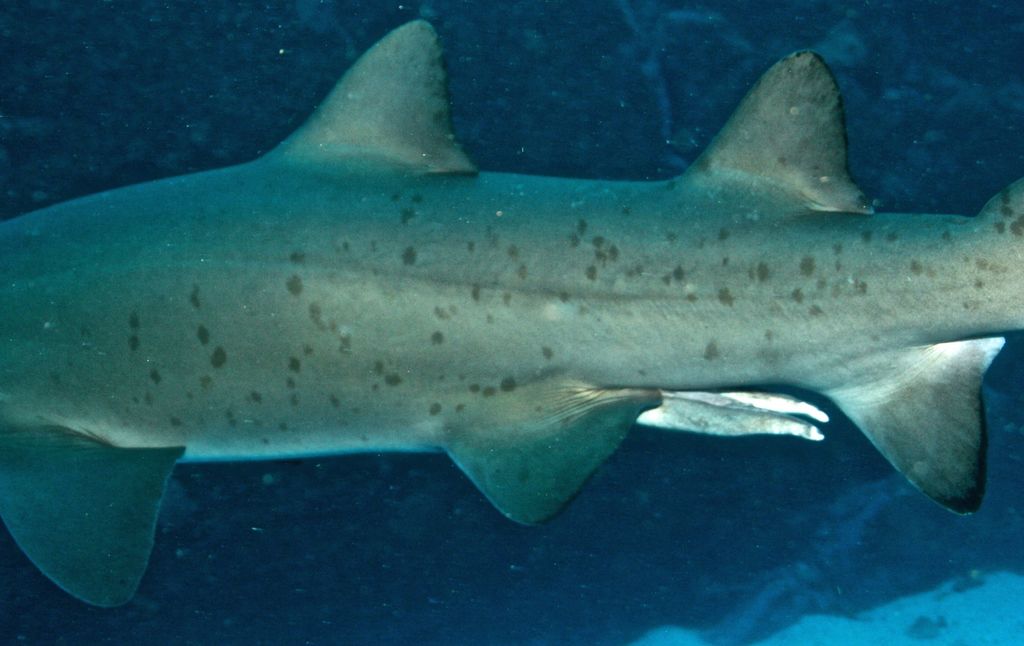 d6e925b2-ce72-4e9a-b376-ea4f150a9606