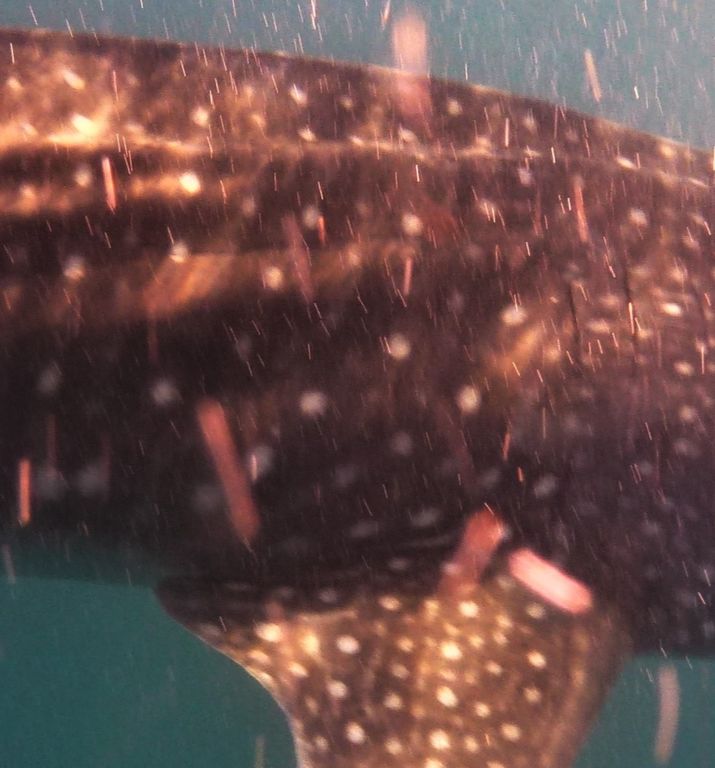 34d12ae4-7860-450f-80ad-d9e7882093cf