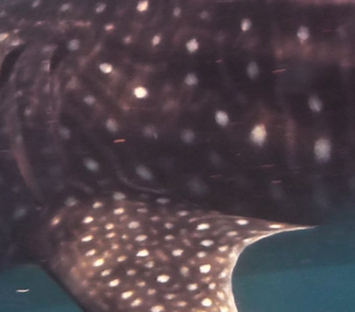 34d12ae4-7860-450f-80ad-d9e7882093cf