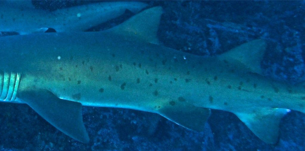 7bdf13da-5b19-4892-bb06-76417cda564c