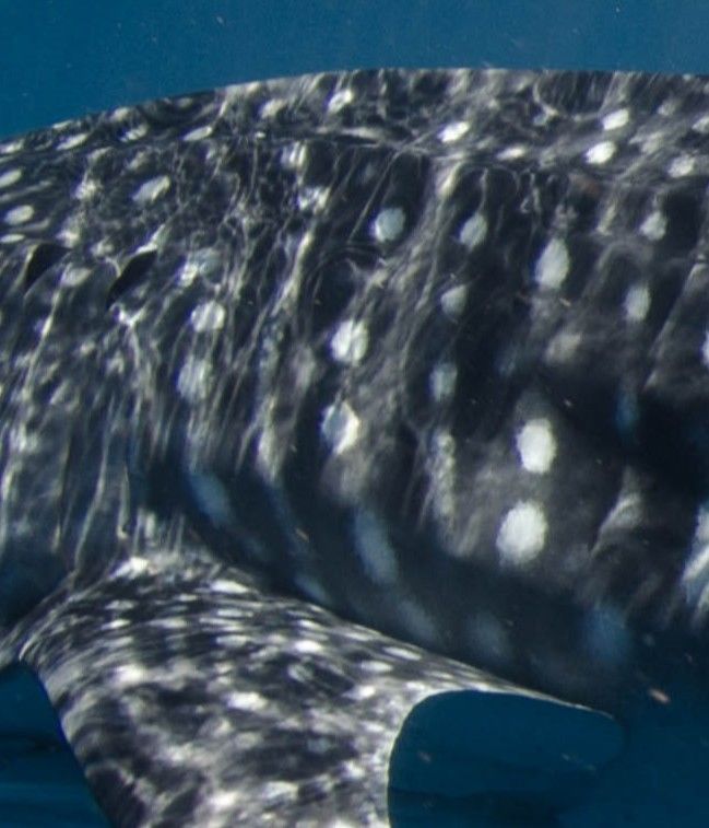 1837bdb2-fa6b-4245-a71f-d0411fc557e4