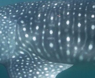 b2ddcebe-79ac-4cc0-bc53-1e7a94093db8