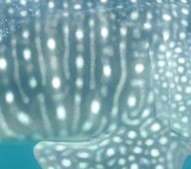 7f289576-093a-4ff4-864e-5ba7f9bad455