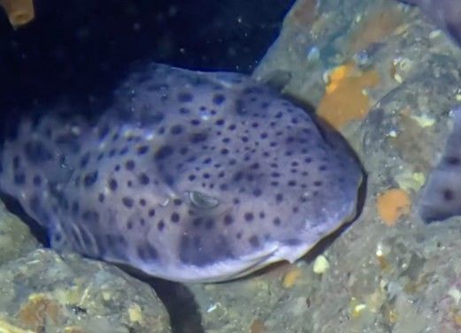 51255181-a180-42ee-8260-8e10c530c213