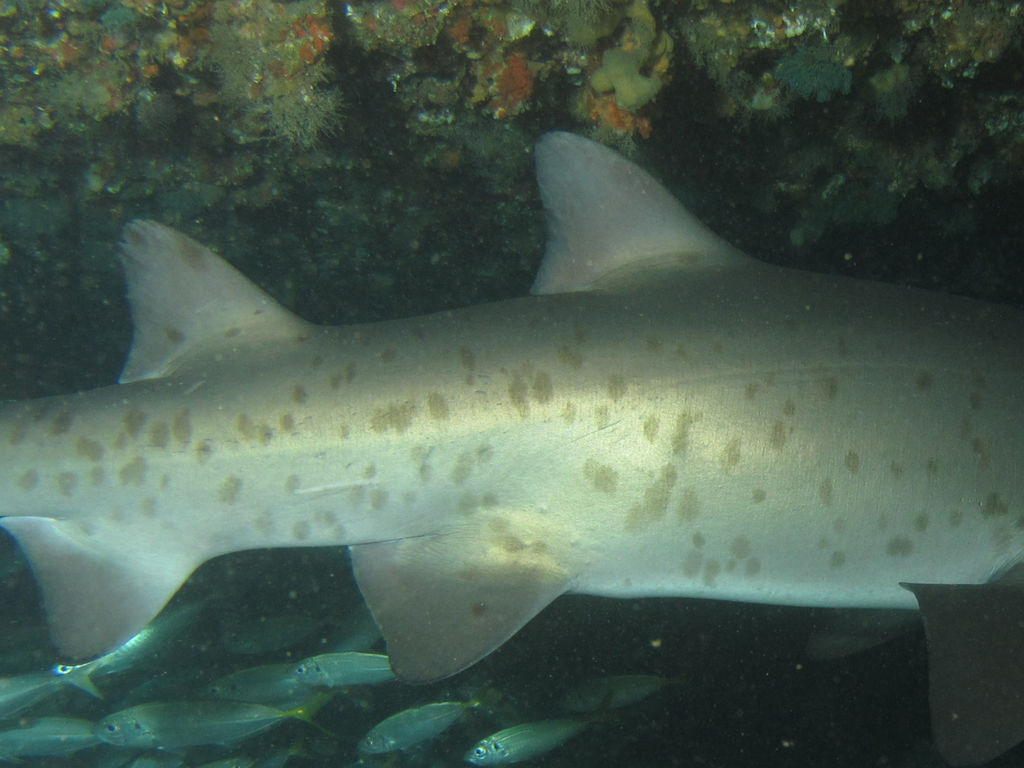 3ed16300-0f4f-4e84-98ae-76fac4504ce6