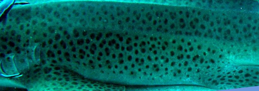 a9d93dc9-274c-4c7e-b93f-cce811e4bf9f