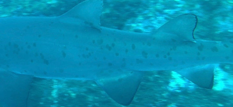 df608fbe-e1a9-476c-845e-ea1a3c552b1a