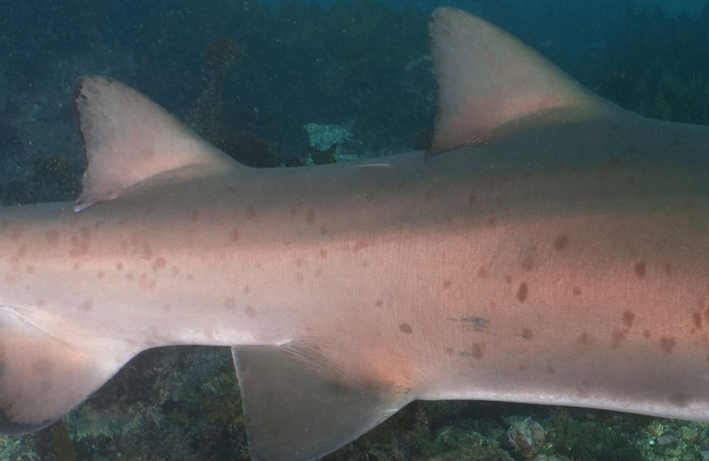 47f845bf-6629-4e45-963f-621e4a6c8664