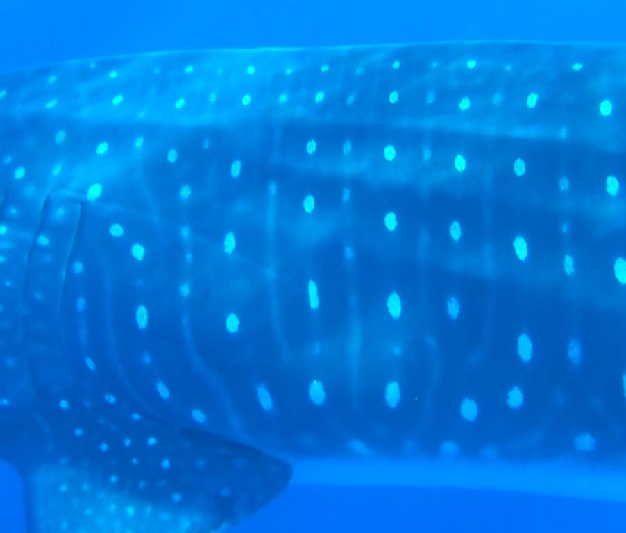 ff57a6ed-5e1e-468c-a613-e60dd92fe45b