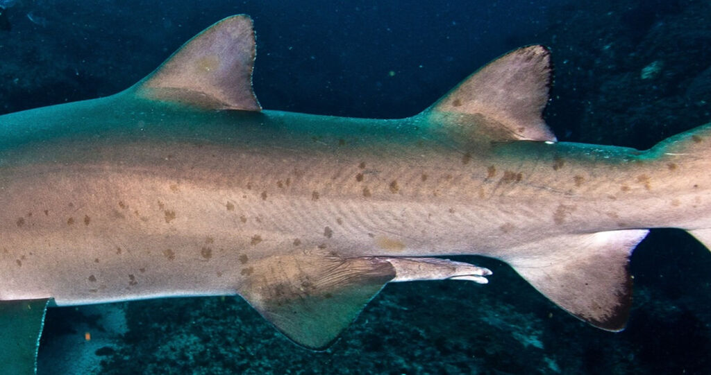 3692a2f9-79c6-4044-9e44-b29e49aafcd8