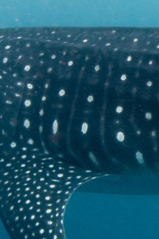 90c07d4c-2d53-4e8c-8c26-35c2974f9cf7