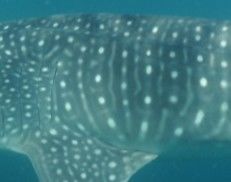 cc884c45-0a36-40b3-b89f-24c942a020e2