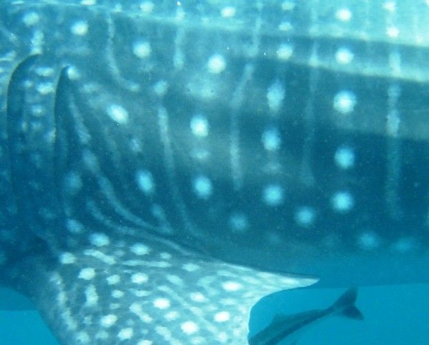 a4cecd0d-8340-4e6c-9a57-38555991cb70