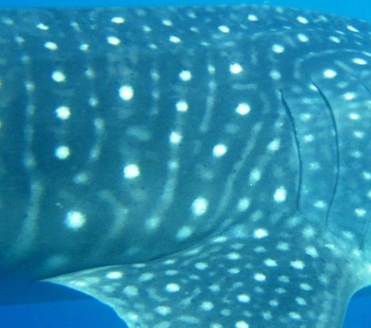 b88ef1a8-5cd9-480c-b194-dcf2188b6f2e