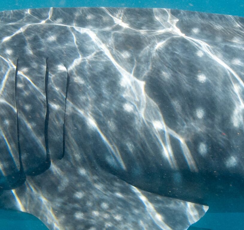 24adb028-bd17-4c48-99e0-aa82888af69b