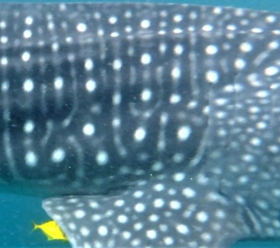 8413ea74-8f4e-446f-aebe-4718f6253143