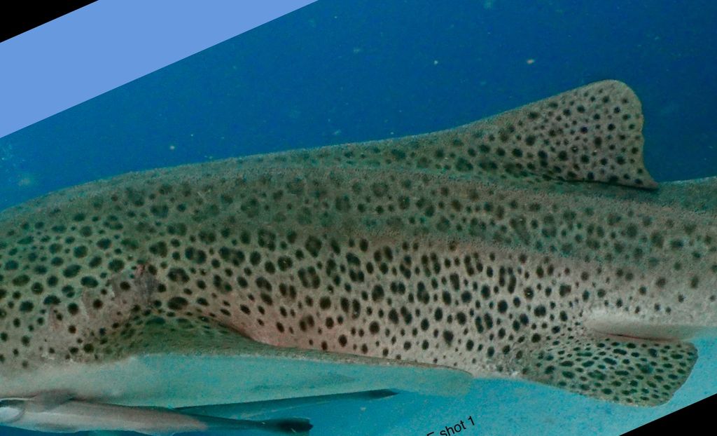 ca0b3b29-7ad1-40b7-ab90-28097e99080e