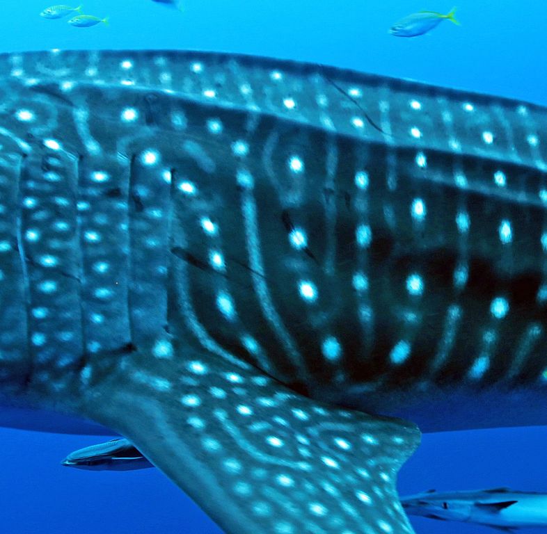 10c65b7f-d06d-4e3e-920c-7ad828a11cd4