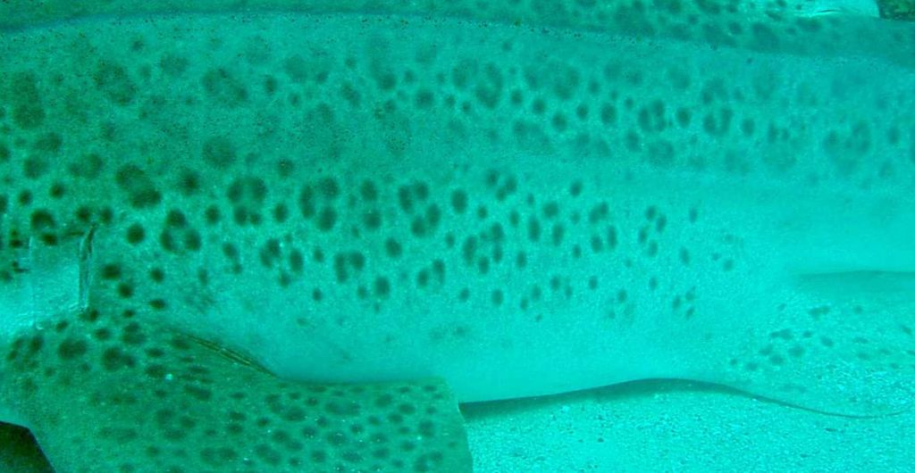 c56f3bdd-1a6b-429c-8ee7-4aa51a2d2c4a