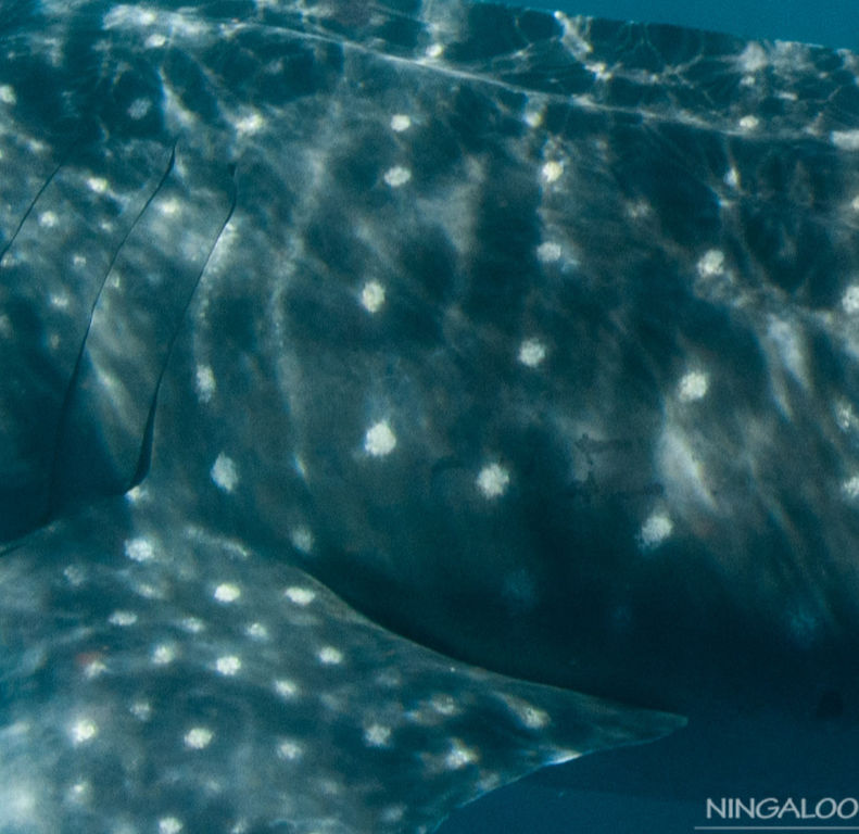 d24607f1-dc70-4998-b9b9-664cc08e46cd