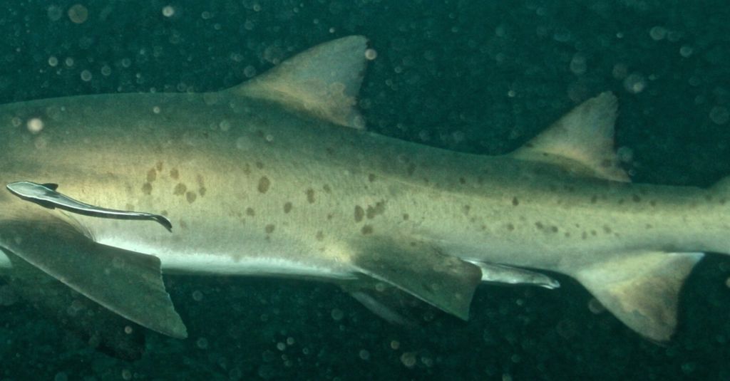 7105b1ea-6d38-4ce3-9c4b-3b6fcfddada3