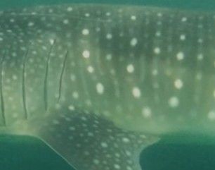 7d3769f0-a5a5-4faa-aa6d-d58df462f267