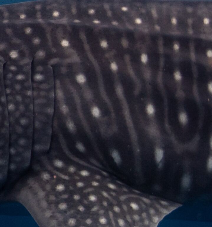 1fc460cd-b3af-4ad5-8e7a-d86925190362