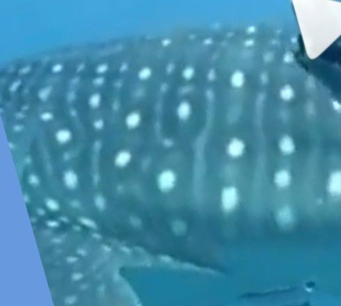 cc07a90d-0841-47d9-b822-514980af7011