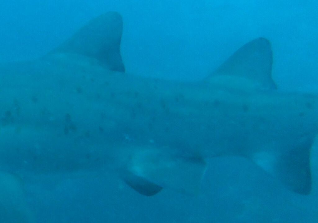 f197bbd8-9aae-4d58-b808-49d9df75e7f6