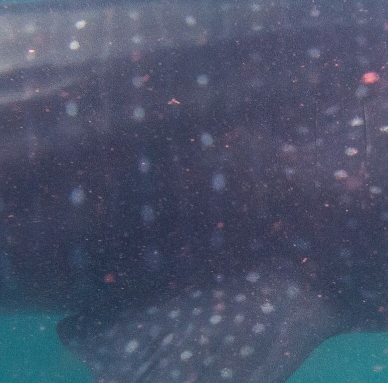 22280266-898a-4ae4-81c4-c681a435085a