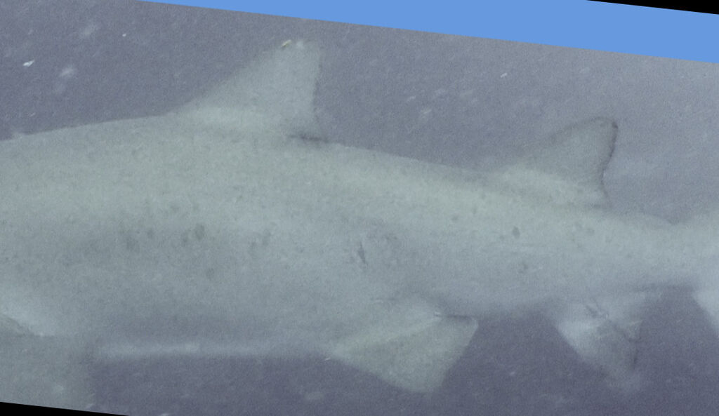 1a47b649-5919-482f-9ca0-8e09ba2ff877