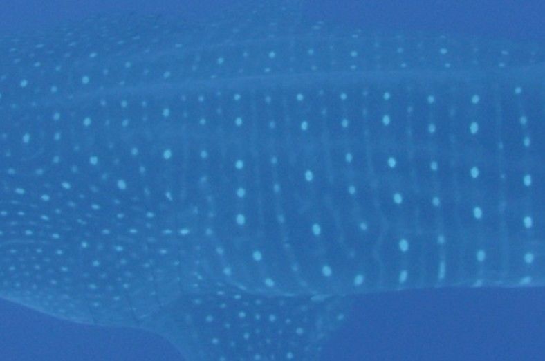 33324f8e-68e2-4043-a40f-380882dcc00a