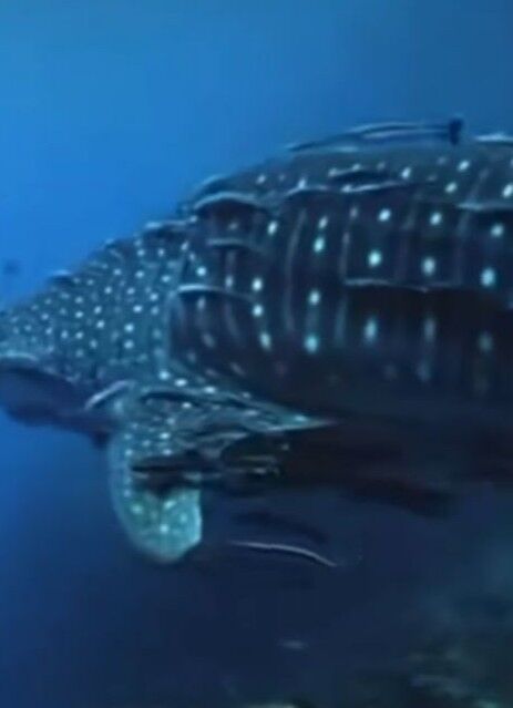 6d708767-68d8-40c4-917b-07760501ceda