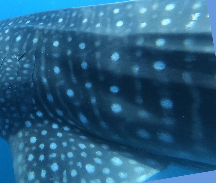 8426ba06-c7ac-441f-88c1-e220bf17082d