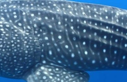 eb42f1ae-bbbd-4056-b454-b21e30898150