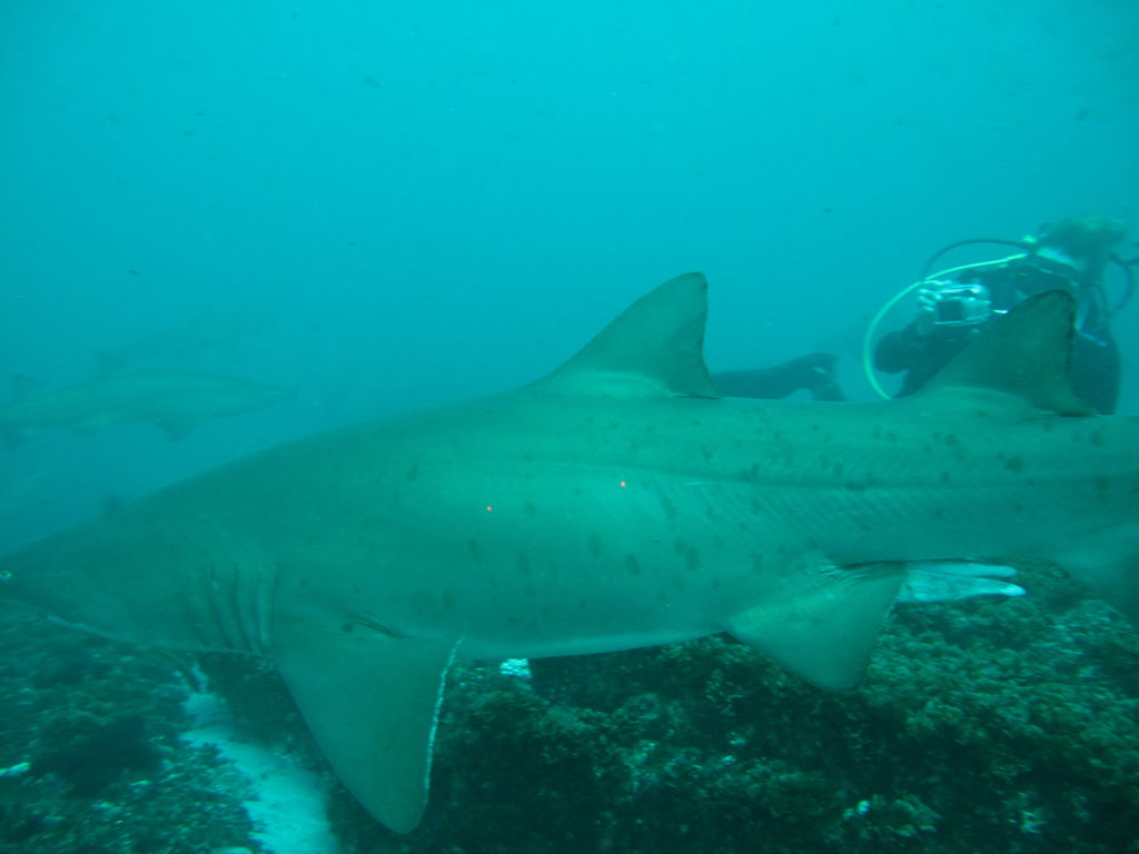 b1669ae8-b876-4939-9864-d9202801e8ed