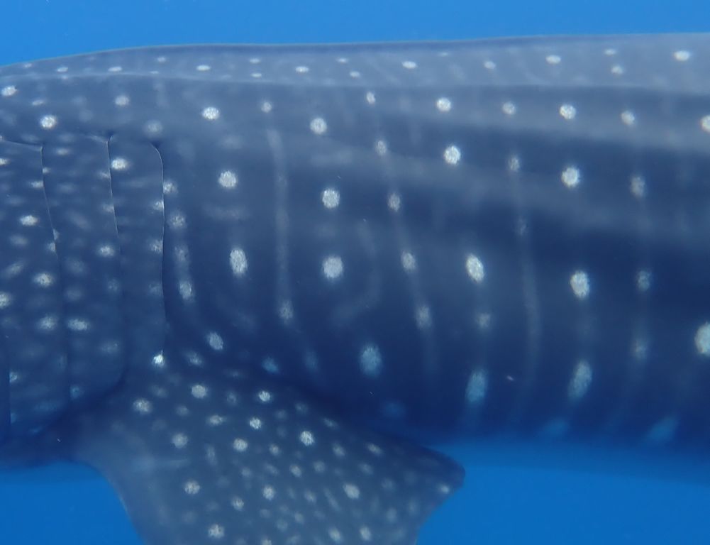 4574a8b7-03e0-4b1e-9d6a-375c56186acf