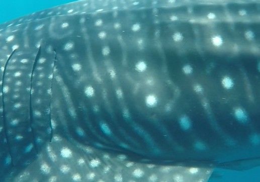 eff23a43-bd8d-4e14-9061-cf5d959a85af