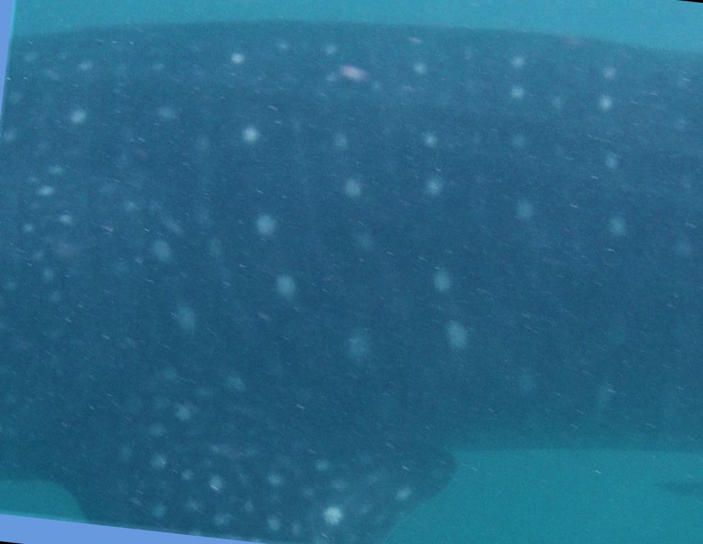 adba08f3-9e2d-4bf8-8339-86c5c805df5d