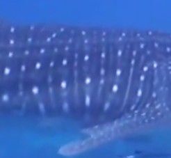 7e25e8e6-7480-4668-8144-3b84f7b8c656