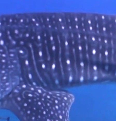 7e25e8e6-7480-4668-8144-3b84f7b8c656