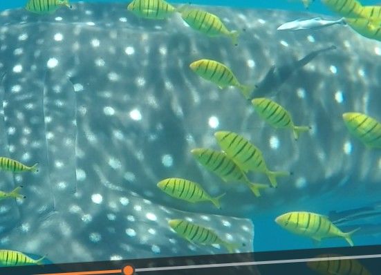 63e9fa01-0366-4bef-8be6-3dad59ab06bf